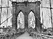 Premium Photographic Print