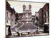 Photographic Print