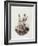 Betto or Groom, Tattooed a La Mode, 19th Century-Felice Beato-Framed Giclee Print