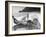 Betty Brooks and Patti McCarty Motor Boating at Catalina Island-Peter Stackpole-Framed Photographic Print