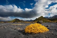 Beautiful Valley of Thor reaches into the highlands of Iceland. Fall color livens the landscape.-Betty Sederquist-Photographic Print