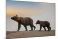 Photographic Print