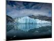 Premium Photographic Print