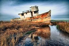 Usa, California. Rotting fishing boat near Point Reyes.-Betty Sederquist-Photographic Print