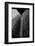 Between giants-Greetje van Son-Framed Photographic Print