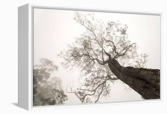 Between Heaven and Earth-Karsten Wrobel-Framed Premier Image Canvas