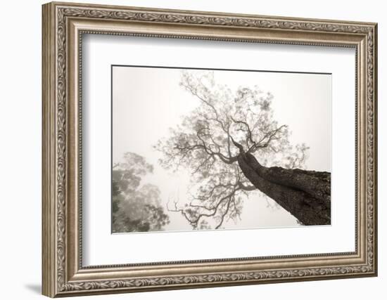 Between Heaven and Earth-Karsten Wrobel-Framed Photographic Print