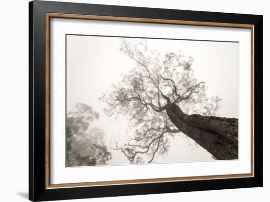 Between Heaven and Earth-Karsten Wrobel-Framed Photographic Print