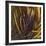 Between the Leaves-Jan Wagstaff-Framed Limited Edition