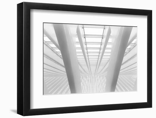 Between the Lines.-Greetje Van Son-Framed Photographic Print