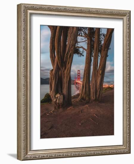 Between the Trees-Bruce Getty-Framed Photographic Print