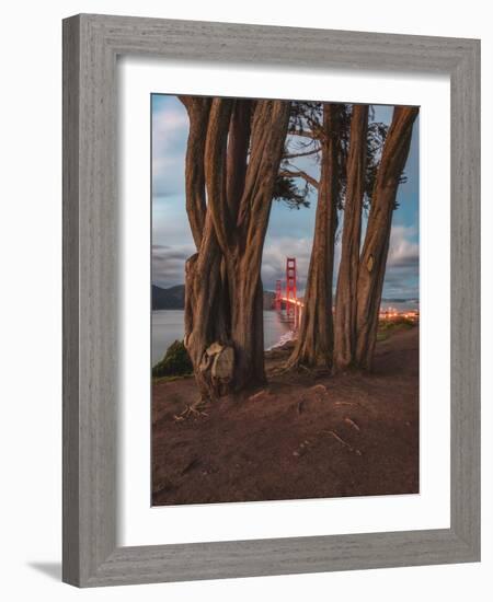 Between the Trees-Bruce Getty-Framed Photographic Print