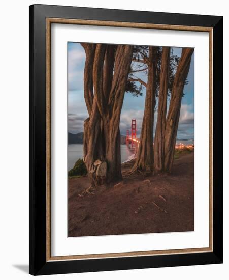 Between the Trees-Bruce Getty-Framed Photographic Print