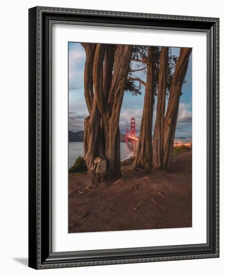 Between the Trees-Bruce Getty-Framed Photographic Print