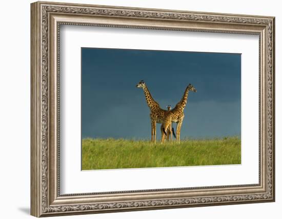 Between the Two-Massimo Mei-Framed Photographic Print