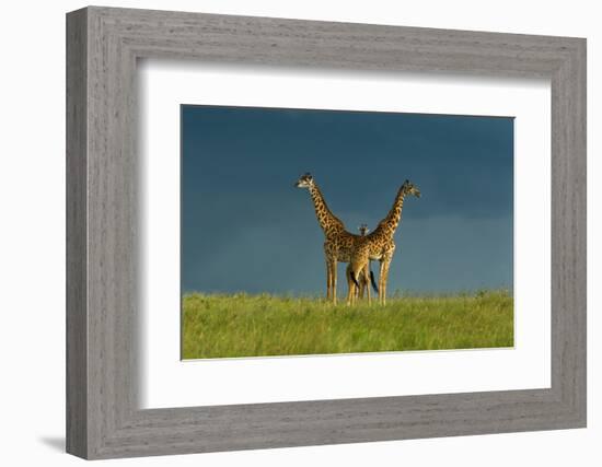 Between the Two-Massimo Mei-Framed Photographic Print