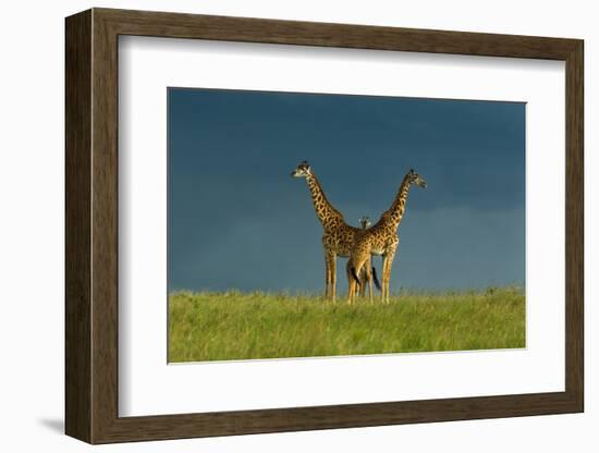 Between the Two-Massimo Mei-Framed Photographic Print