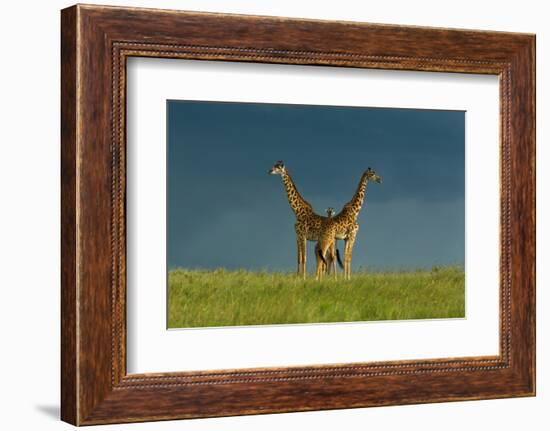 Between the Two-Massimo Mei-Framed Photographic Print