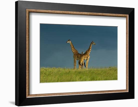 Between the Two-Massimo Mei-Framed Photographic Print