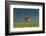 Between the Two-Massimo Mei-Framed Photographic Print