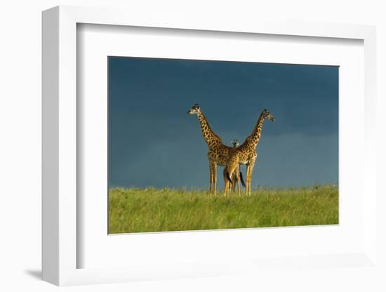 Between the Two-Massimo Mei-Framed Photographic Print