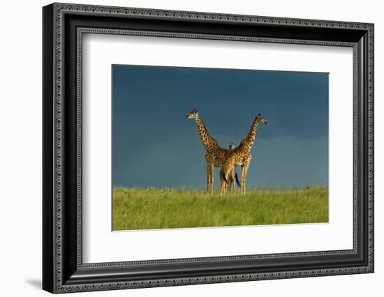 Between the Two-Massimo Mei-Framed Photographic Print