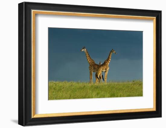 Between the Two-Massimo Mei-Framed Photographic Print