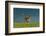 Between the Two-Massimo Mei-Framed Photographic Print