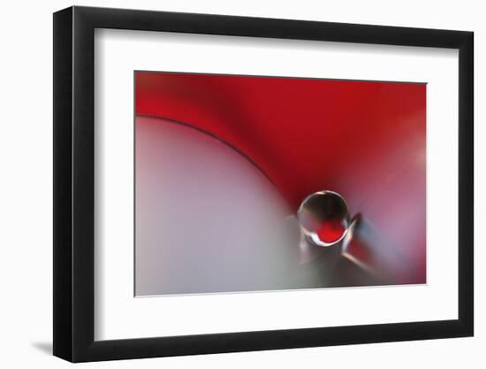 Between-Heidi Westum-Framed Photographic Print