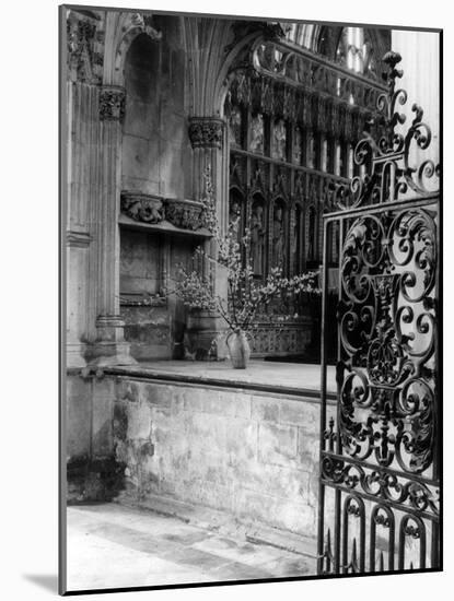 Beverley Minster Gate-null-Mounted Photographic Print