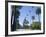 Beverly Drive, Beverly Hills, California, USA-Ethel Davies-Framed Photographic Print