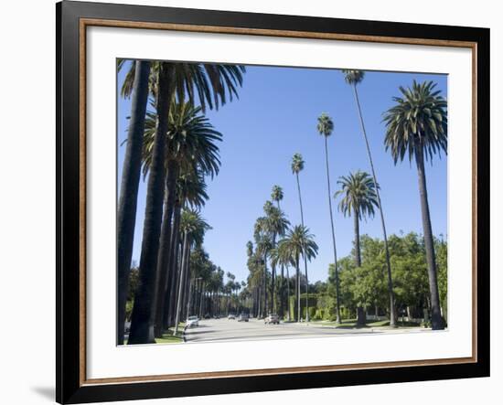 Beverly Drive, Beverly Hills, California, USA-Ethel Davies-Framed Photographic Print