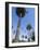 Beverly Drive, Beverly Hills, California, USA-Ethel Davies-Framed Photographic Print