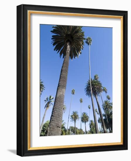 Beverly Drive, Beverly Hills, California, USA-Ethel Davies-Framed Photographic Print