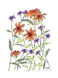 Orange Corn Flower-Beverly Dyer-Art Print