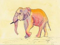 Rainbow Elephant-Beverly Dyer-Art Print