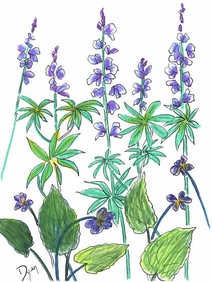 Art Print, , large