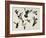 Bevy of Birds-Sydney Edmunds-Framed Giclee Print