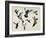 Bevy of Birds-Sydney Edmunds-Framed Giclee Print