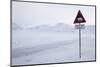 Beware of Polar Bear Traffic Sign on Ice Road-Stephen Studd-Mounted Photographic Print