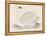 Bewick's Swan-Reverend Francis O. Morris-Framed Premier Image Canvas