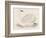 Bewick's Swan-Reverend Francis O. Morris-Framed Photographic Print