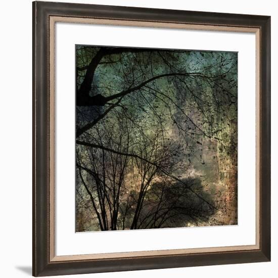 Beyond the Branches-Jean-François Dupuis-Framed Art Print