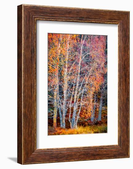 Beyond The Fall-Doug Chinnery-Framed Photographic Print