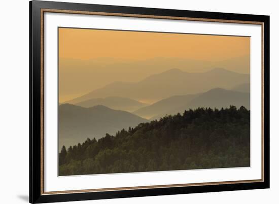 Beyond the Forests II-Staffan Widstrand-Framed Giclee Print