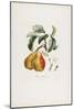 Bezi De Chaumontel (Pears), from Traite Des Arbres Fruitiers, 1807-1835-Pierre Antoine Poiteau-Mounted Giclee Print