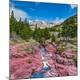 Photographic Print