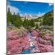 Photographic Print