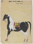 The Stallion Jukaldan Ayragi, C.1730-Bhavani Das-Giclee Print