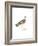 Bhegondee Snipe-Maria Mendez-Framed Giclee Print